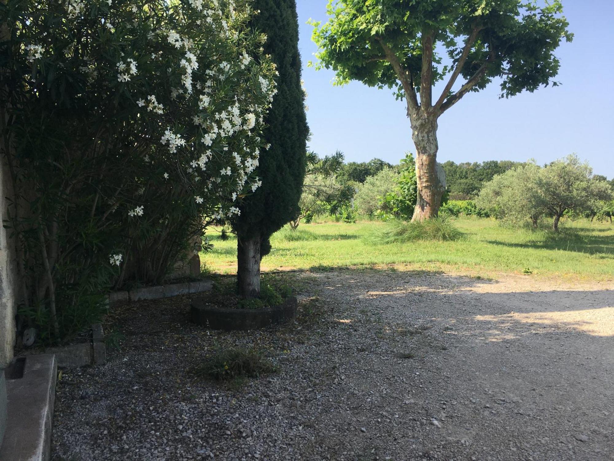 Gite Des Amis Domaine De Mas Caron Caromb Exterior foto