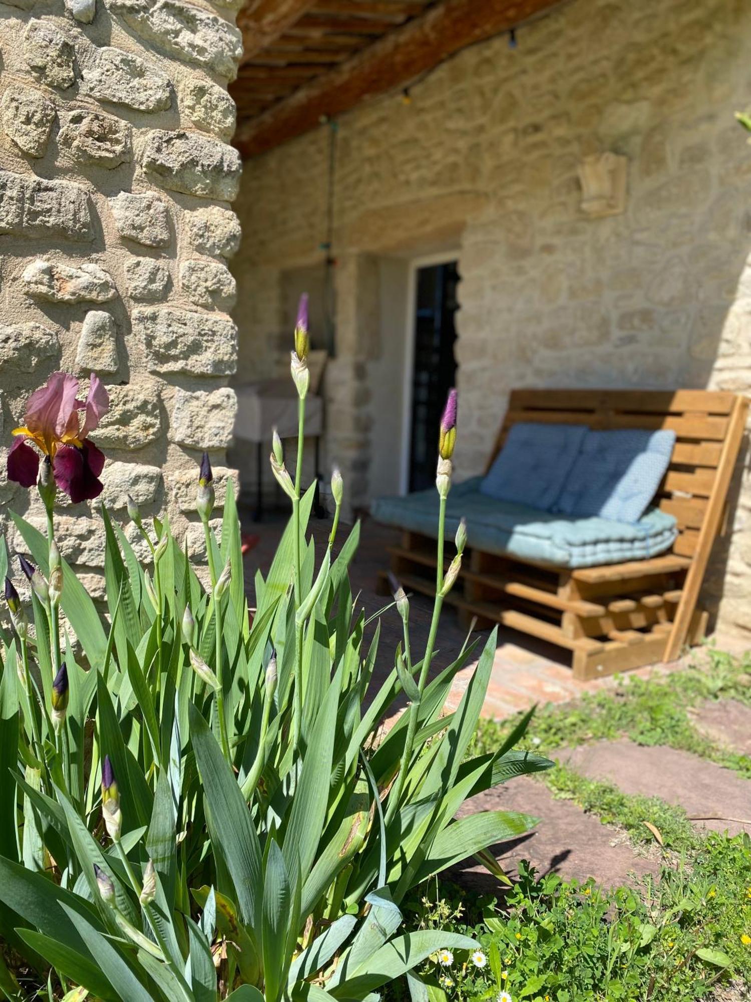 Gite Des Amis Domaine De Mas Caron Caromb Exterior foto